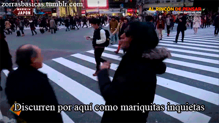 Mariquitas inquietas